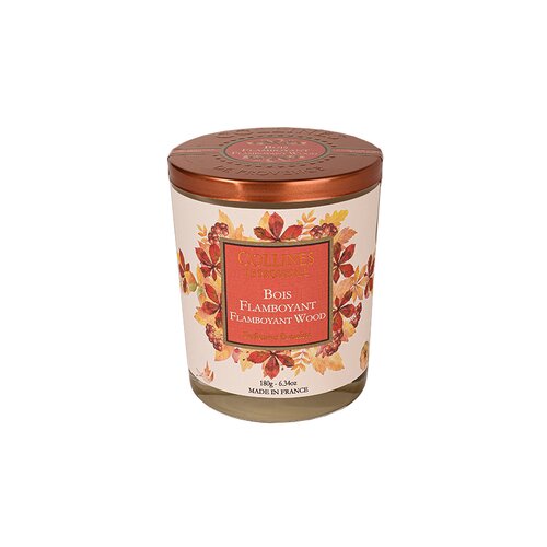 bougie-parfumee-bois-flamboyant
