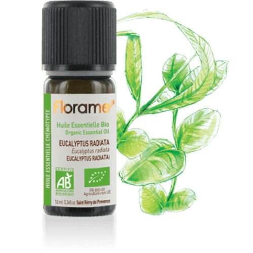 EUCALYPTUS RADIATA H.E FLORAME